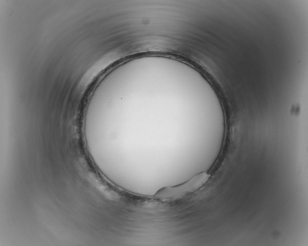 X0000111931026200908241110