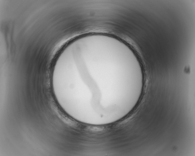 X0000111931027200908241110