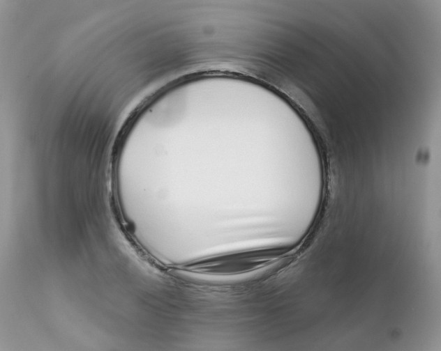 X0000111931028200908241110