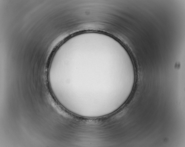 X0000111931029200908241110