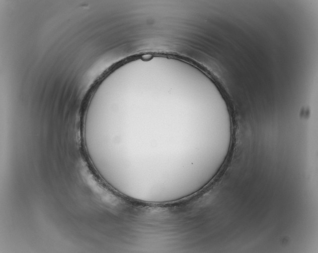 X0000111931030200908241110