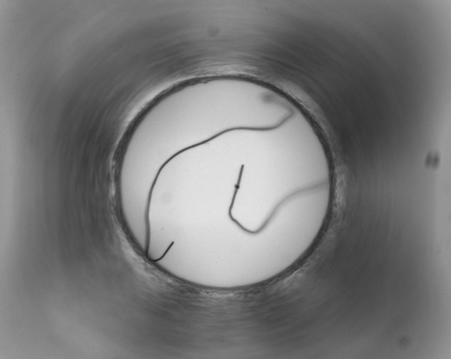 X0000111931031200908241110