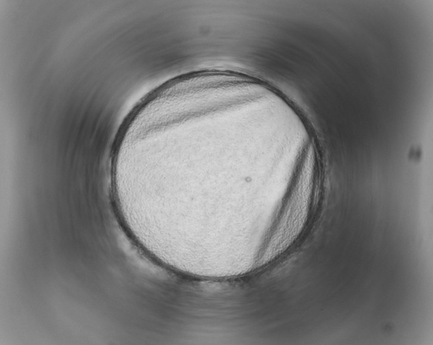 X0000111931032200908241110