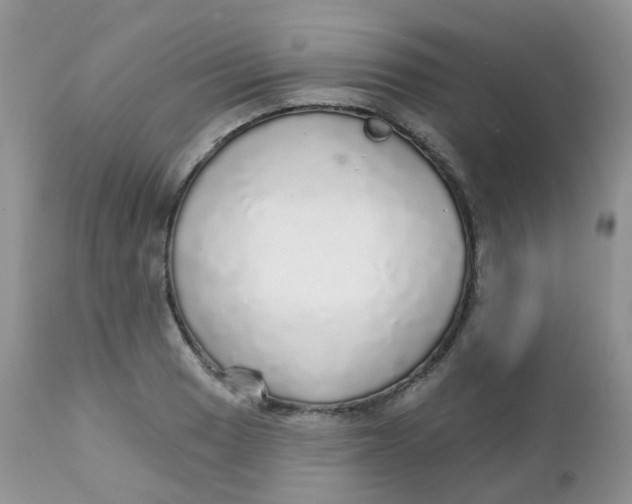 X0000111931033200908241110