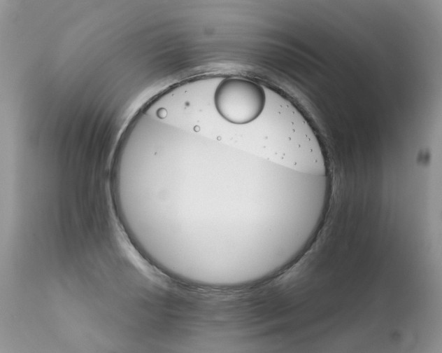 X0000111931034200908241111