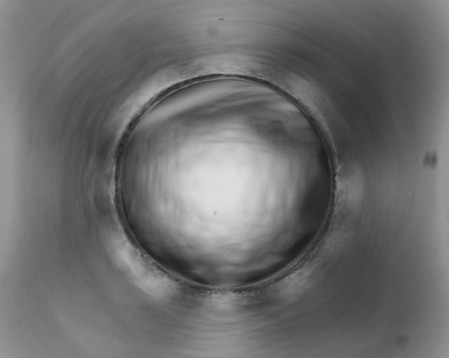 X0000111931035200908241111