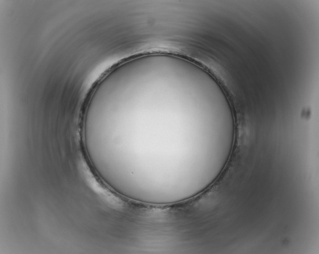 X0000111931038200908241111