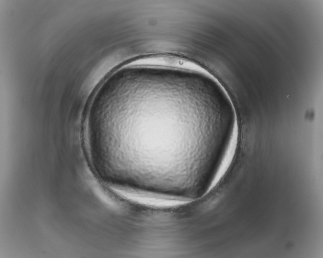 X0000111931039200908241111