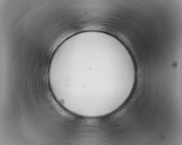 X0000111931041200908241111