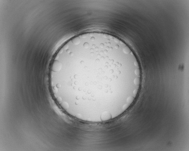 X0000111931042200908241111