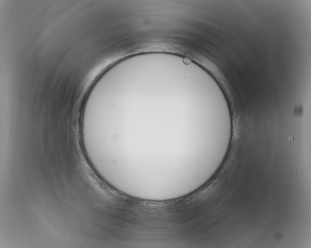 X0000111931043200908241111