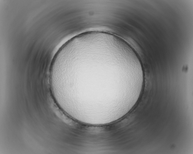 X0000111931044200908241111