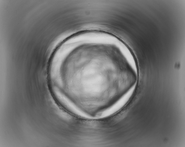 X0000111931045200908241111