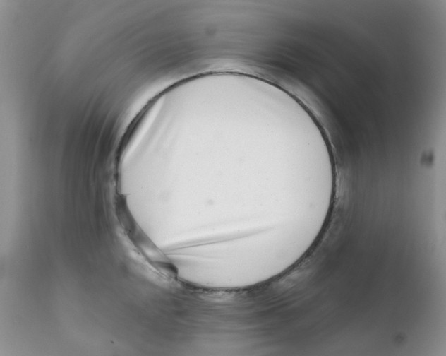 X0000111931048200908241111