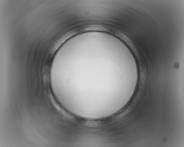 X0000111931049200908241111