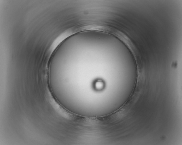 X0000111931050200908241111