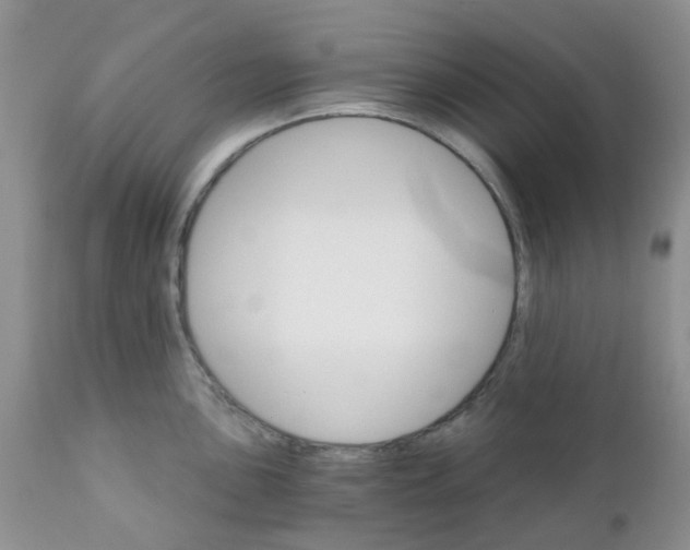 X0000111931051200908241111