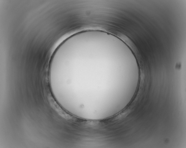 X0000111931052200908241111