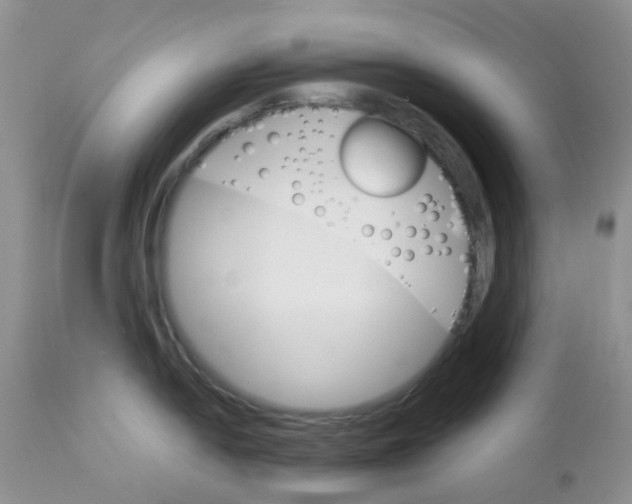 X0000111931054200908241111