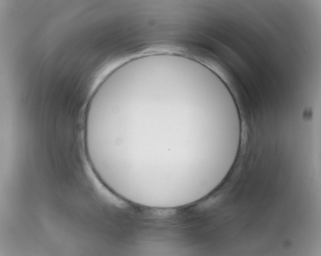 X0000111931055200908241111