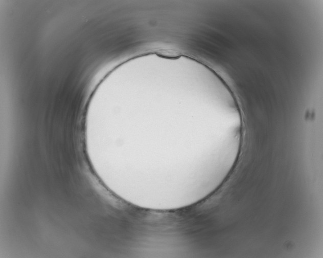 X0000111931056200908241111