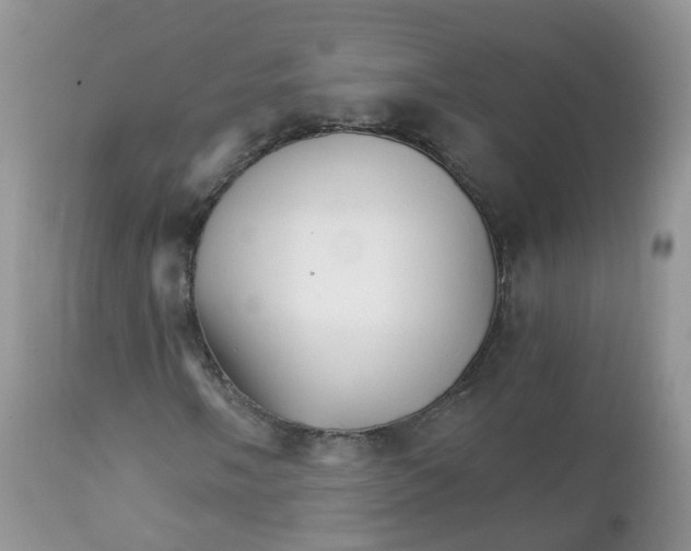 X0000111931058200908241110