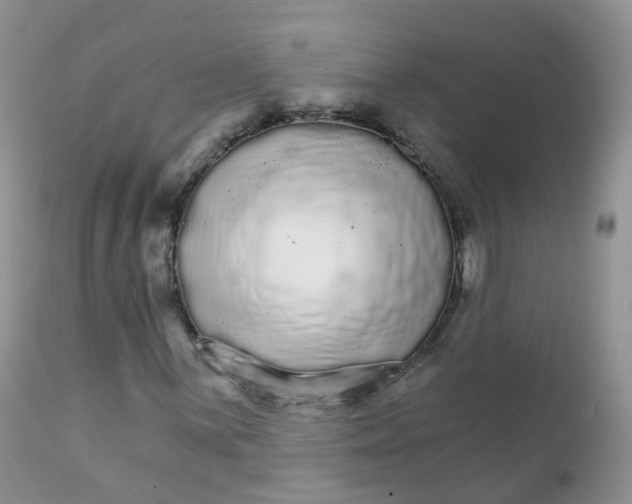 X0000111931059200908241110