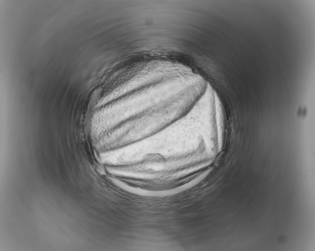 X0000111931060200908241110