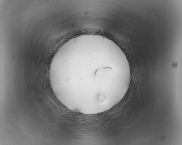 X0000111931061200908241110