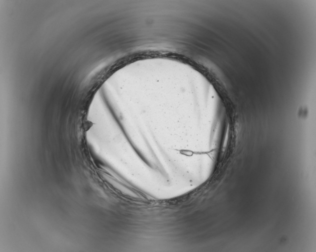 X0000111931064200908241110