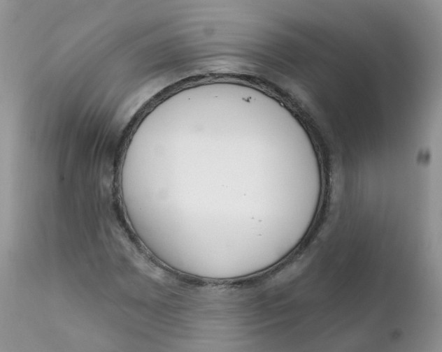 X0000111931065200908241110