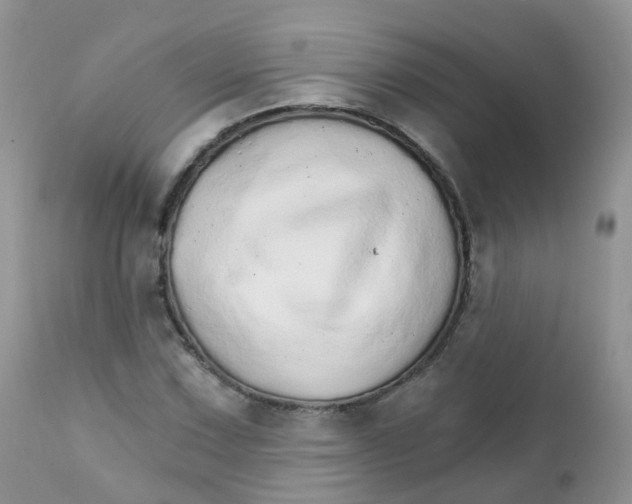 X0000111931067200908241110