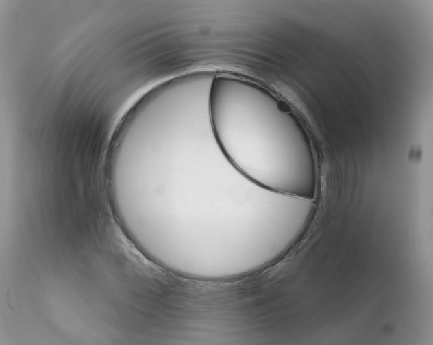 X0000111931068200908241110