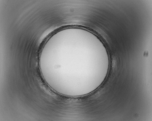 X0000111931069200908241110