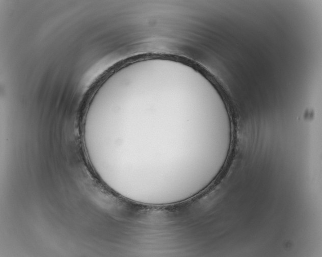 X0000111931070200908241110