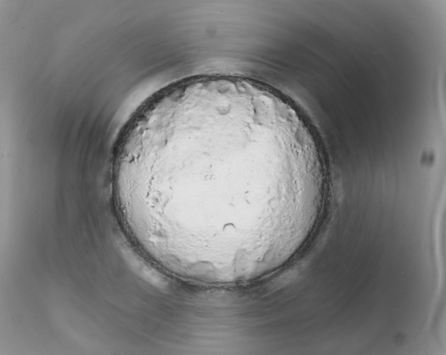 X0000111931075200908241110