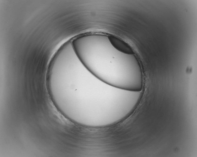 X0000111931076200908241110