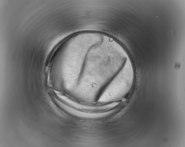 X0000111931077200908241110