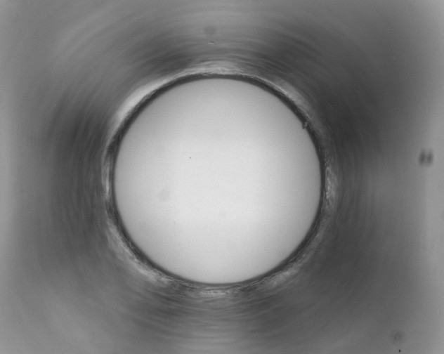 X0000111931078200908241110