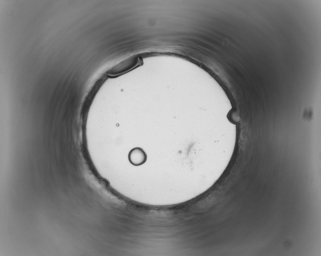 X0000111931080200908241110