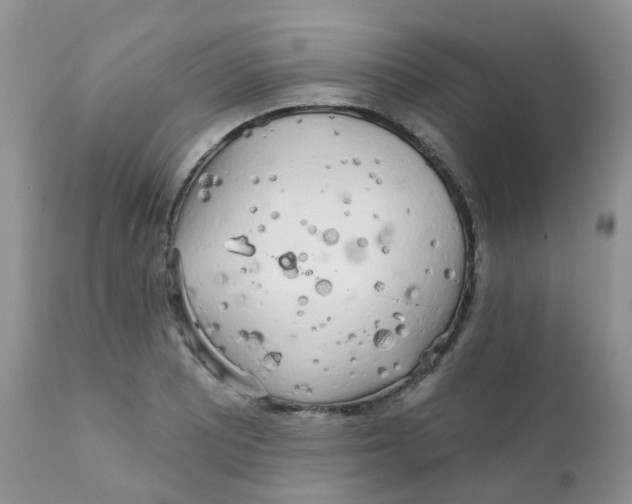 X0000111931081200908241110