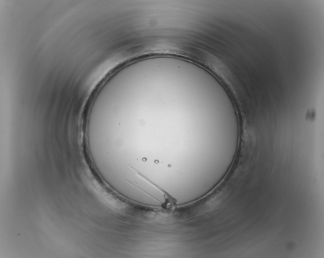 X0000111931082200908241110