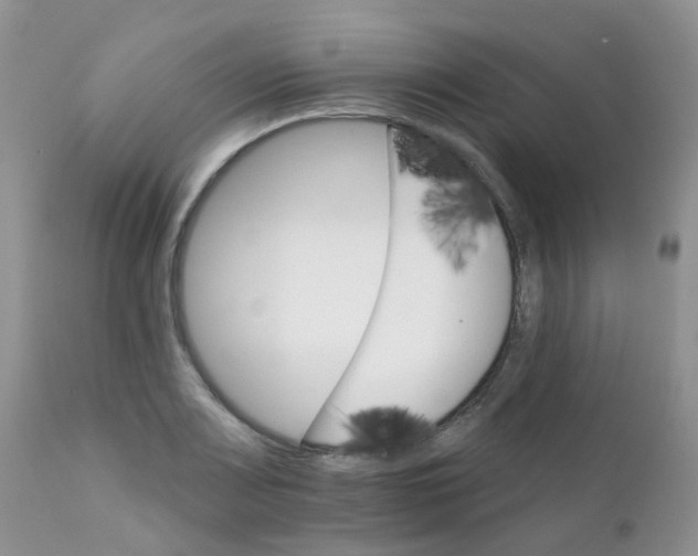 X0000111931083200908241110