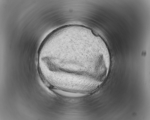 X0000111931084200908241110