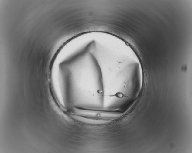 X0000111931088200908241110