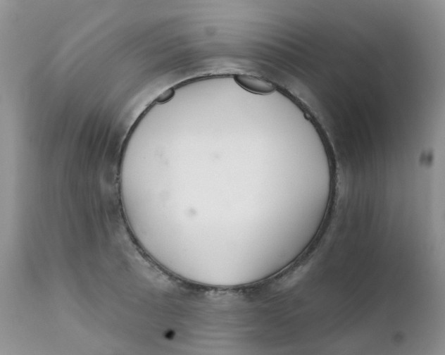 X0000111931089200908241110