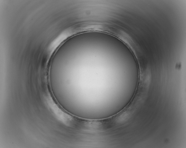 X0000111931090200908241110