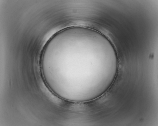 X0000111931091200908241110