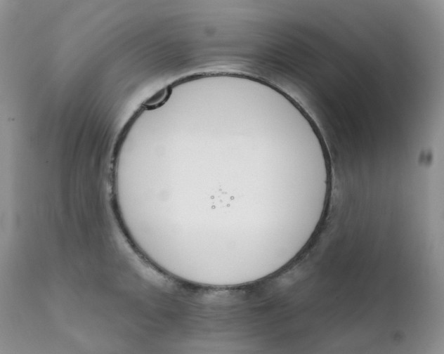 X0000111931093200908241110