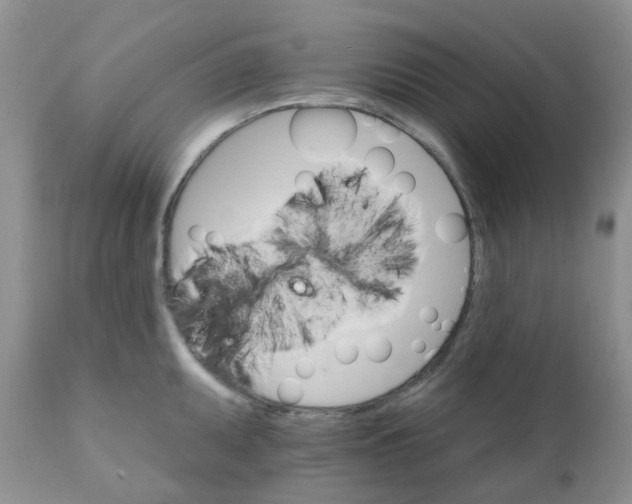 X0000111931095200908241110